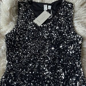 Joie Sequin Dress NWT